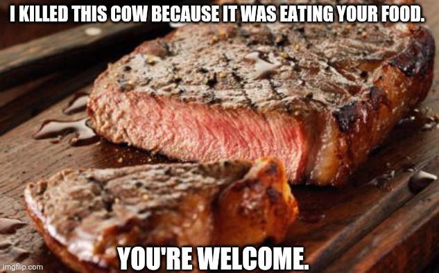 Steak | I KILLED THIS COW BECAUSE IT WAS EATING YOUR FOOD. YOU'RE WELCOME. | image tagged in steak | made w/ Imgflip meme maker