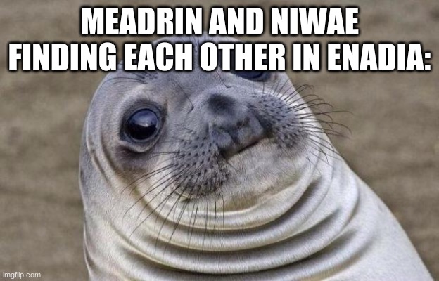 Awkward Moment Sealion Meme | MEADRIN AND NIWAE FINDING EACH OTHER IN ENADIA: | image tagged in memes,awkward moment sealion | made w/ Imgflip meme maker