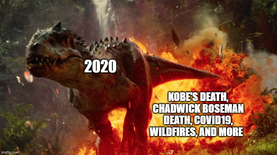 2020 in a nutshell | 2020; KOBE'S DEATH, CHADWICK BOSEMAN DEATH, COVID19, WILDFIRES, AND MORE | image tagged in 2020 sucks,jurrasic park | made w/ Imgflip meme maker