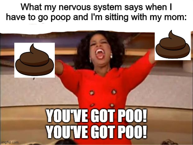 L O L hahahahahahaha | What my nervous system says when I have to go poop and I'm sitting with my mom:; YOU'VE GOT POO!
YOU'VE GOT POO! | image tagged in memes,oprah you get a | made w/ Imgflip meme maker