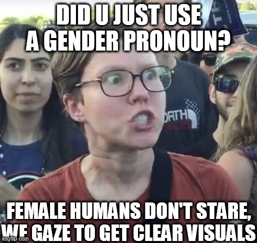 DID U JUST USE A GENDER PRONOUN? FEMALE HUMANS DON'T STARE,


WE GAZE TO GET CLEAR VISUALS | made w/ Imgflip meme maker