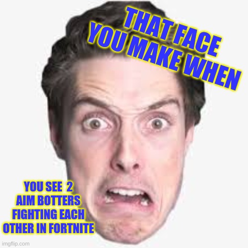 LazarBeam, please see this | THAT FACE YOU MAKE WHEN; YOU SEE  2 AIM BOTTERS FIGHTING EACH OTHER IN FORTNITE | image tagged in funny memes | made w/ Imgflip meme maker