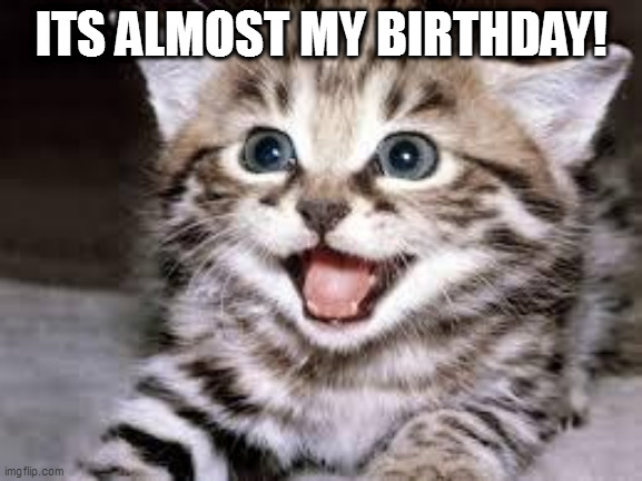 Yay! | ITS ALMOST MY BIRTHDAY! | image tagged in happy cat,birthday,funny cat birthday,happy birthday,november,november 8 | made w/ Imgflip meme maker