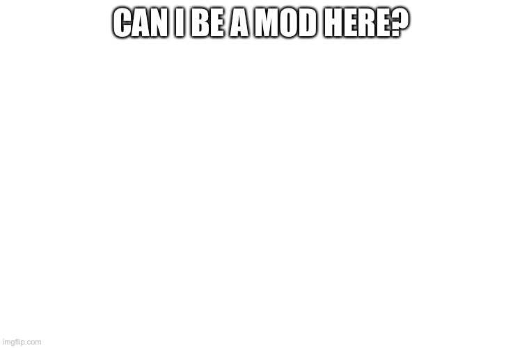 ??? | CAN I BE A MOD HERE? | image tagged in plz | made w/ Imgflip meme maker