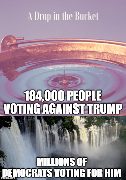 184,000 PEOPLE VOTING AGAINST TRUMP MILLIONS OF DEMOCRATS VOTING FOR HIM | image tagged in a drop in the bucket | made w/ Imgflip meme maker