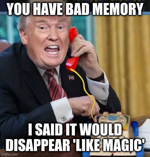 I'm the president | YOU HAVE BAD MEMORY; I SAID IT WOULD DISAPPEAR 'LIKE MAGIC' | image tagged in i'm the president | made w/ Imgflip meme maker