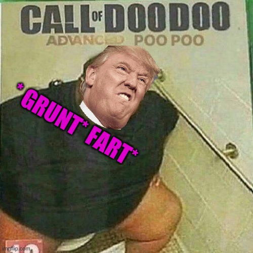 call of doo doo abvanced poo poo | * GRUNT* FART* | image tagged in call of doo doo abvanced poo poo | made w/ Imgflip meme maker