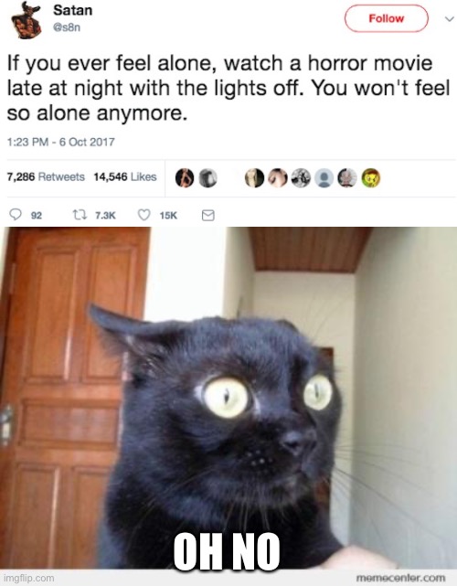 Oh no Satan! | OH NO | image tagged in scared cat,satan,twitter,tweets,memes | made w/ Imgflip meme maker