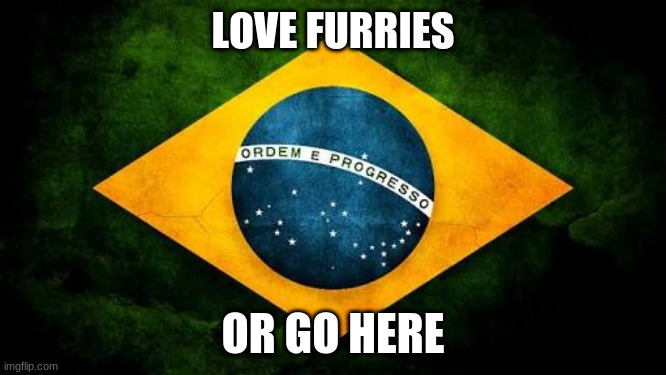 your going to brazil if u dont love furries | LOVE FURRIES; OR GO HERE | image tagged in brazil flag,funny,furries | made w/ Imgflip meme maker