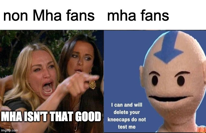 Woman Yelling At Cat | non Mha fans; mha fans; MHA ISN'T THAT GOOD | image tagged in memes,woman yelling at cat | made w/ Imgflip meme maker