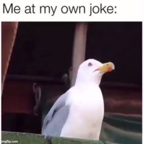 Hehehe | image tagged in lol | made w/ Imgflip meme maker