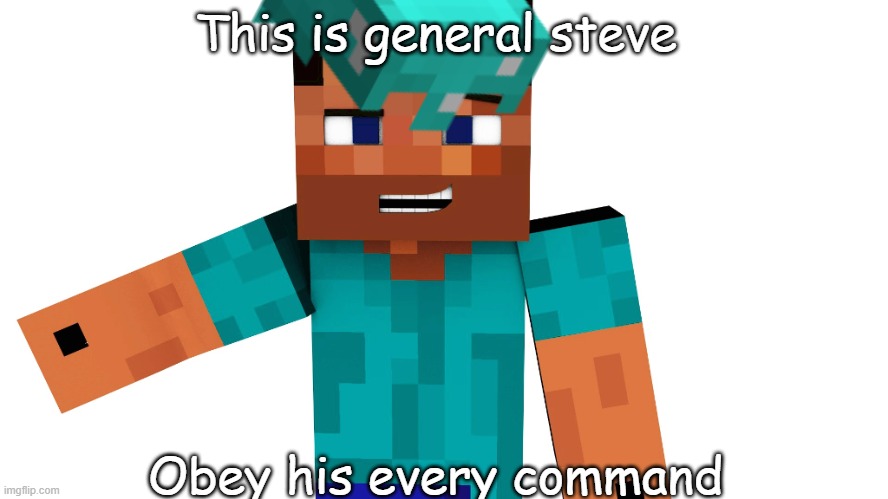 General steve | This is general steve; Obey his every command | image tagged in general,minecraft,minecraft steve | made w/ Imgflip meme maker