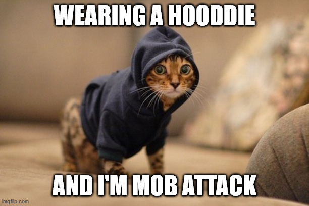 Hoody Cat Meme | WEARING A HOODDIE; AND I'M MOB ATTACK | image tagged in memes,hoody cat | made w/ Imgflip meme maker