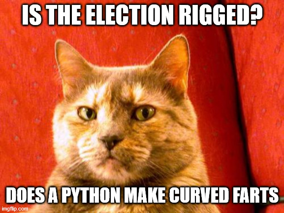 Suspicious Cat | IS THE ELECTION RIGGED? DOES A PYTHON MAKE CURVED FARTS | image tagged in memes,suspicious cat | made w/ Imgflip meme maker