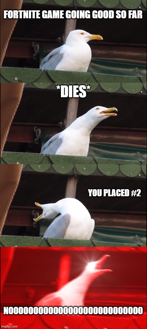 Fortnite Seagull meme | FORTNITE GAME GOING GOOD SO FAR; *DIES*; YOU PLACED #2; NOOOOOOOOOOOOOOOOOOOOOOOOOOO | image tagged in memes,inhaling seagull | made w/ Imgflip meme maker