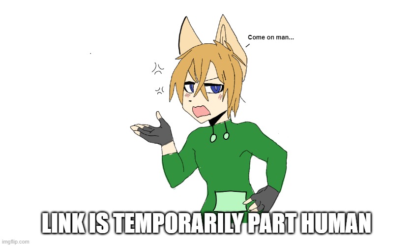 He isn't happy about it either... | LINK IS TEMPORARILY PART HUMAN | made w/ Imgflip meme maker