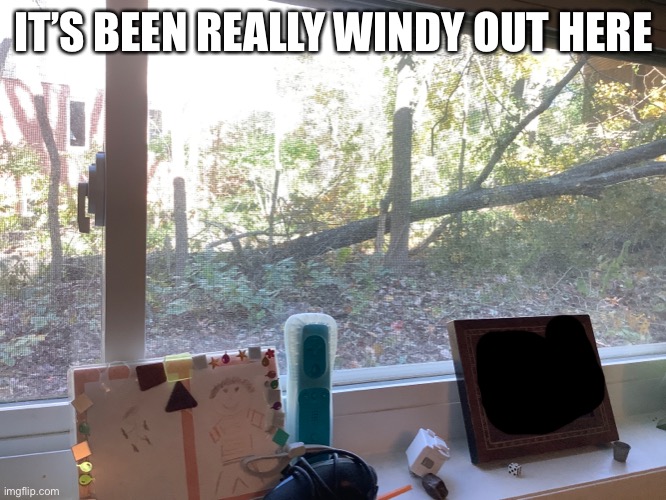 Yes, a tree did fall and almost hit both the house and garage | IT’S BEEN REALLY WINDY OUT HERE | image tagged in windy,tree | made w/ Imgflip meme maker