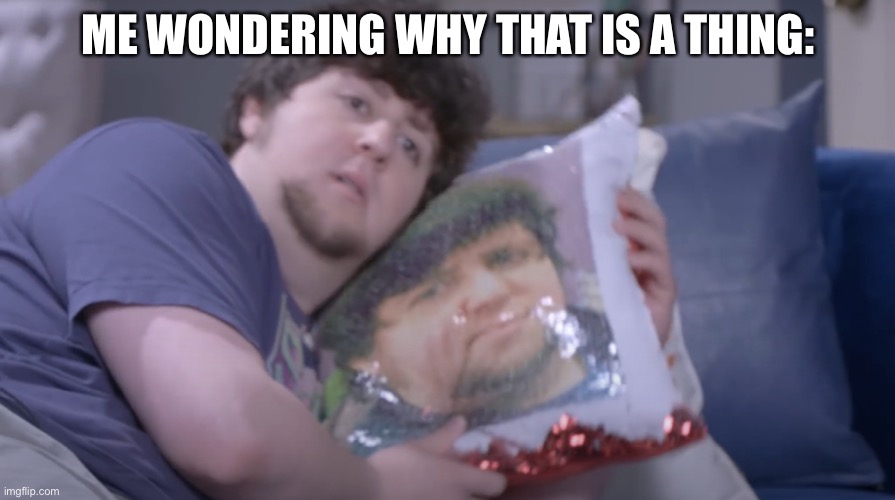 This is my pillow | ME WONDERING WHY THAT IS A THING: | image tagged in this is my pillow | made w/ Imgflip meme maker