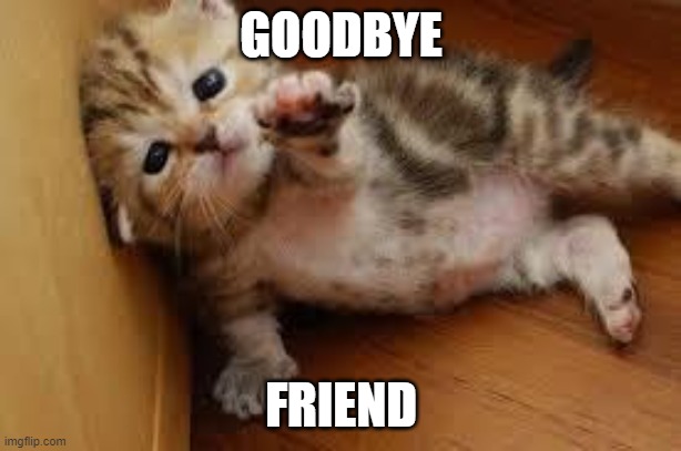 Sad Kitten Goodbye | GOODBYE FRIEND | image tagged in sad kitten goodbye | made w/ Imgflip meme maker