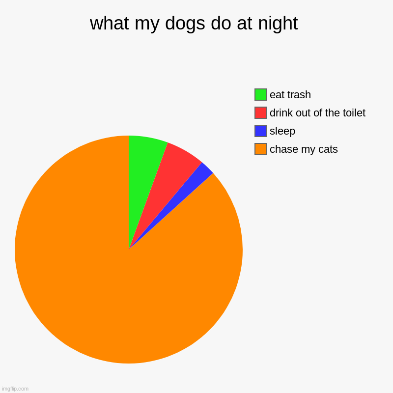 what my dogs do at night | chase my cats , sleep , drink out of the toilet , eat trash | image tagged in charts,pie charts,dogs | made w/ Imgflip chart maker