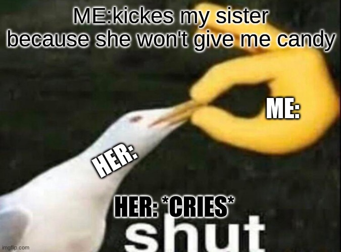 SHUT | ME:kickes my sister because she won't give me candy; ME:; HER:; HER: *CRIES* | image tagged in shut | made w/ Imgflip meme maker