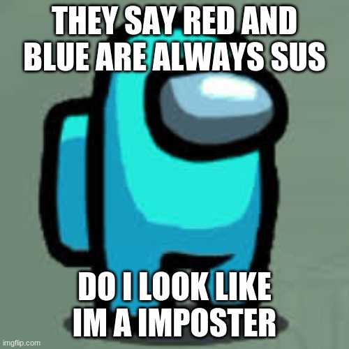 THEY SAY RED AND BLUE ARE ALWAYS SUS; DO I LOOK LIKE IM A IMPOSTER | image tagged in im not a imposter | made w/ Imgflip meme maker