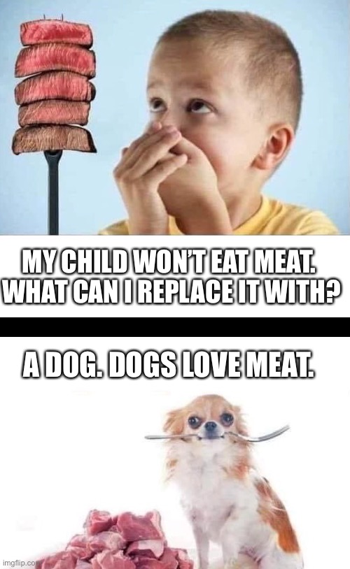 Even trade? | MY CHILD WON’T EAT MEAT. 
WHAT CAN I REPLACE IT WITH? A DOG. DOGS LOVE MEAT. | image tagged in child,meat,eat,picky,trade,dog | made w/ Imgflip meme maker
