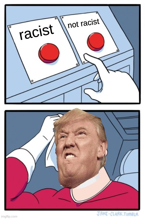 Two Buttons | not racist; racist | image tagged in memes,two buttons | made w/ Imgflip meme maker