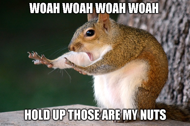 don't touch my nuts | WOAH WOAH WOAH WOAH; HOLD UP THOSE ARE MY NUTS | image tagged in memes | made w/ Imgflip meme maker