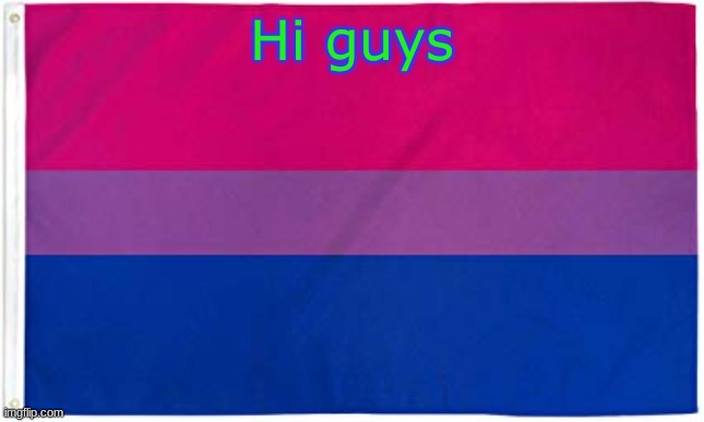 Bisexual Flag | Hi guys | image tagged in bisexual flag | made w/ Imgflip meme maker