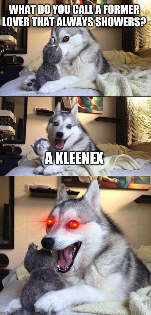 a kleenex | WHAT DO YOU CALL A FORMER LOVER THAT ALWAYS SHOWERS? A KLEENEX | image tagged in memes,bad pun dog | made w/ Imgflip meme maker