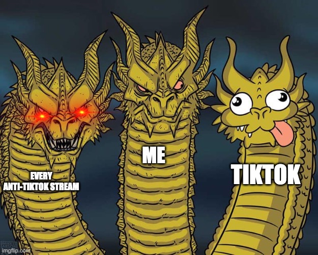 Three dragons | ME; TIKTOK; EVERY ANTI-TIKTOK STREAM | image tagged in three dragons | made w/ Imgflip meme maker