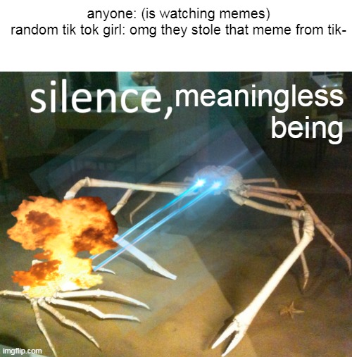 Silence Crab | anyone: (is watching memes)
random tik tok girl: omg they stole that meme from tik-; meaningless being | image tagged in silence crab | made w/ Imgflip meme maker