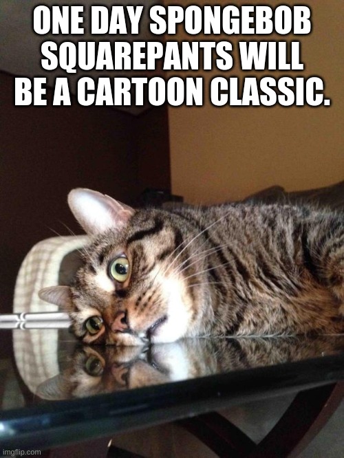 Existential Crisis Cat |  ONE DAY SPONGEBOB SQUAREPANTS WILL BE A CARTOON CLASSIC. | image tagged in existential crisis cat,spongebob,cat,cartoons,memes | made w/ Imgflip meme maker