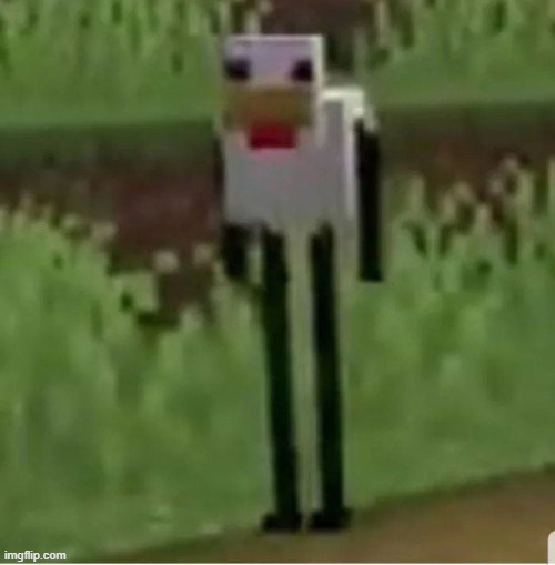 Cursed Minecraft chicken | image tagged in cursed minecraft chicken | made w/ Imgflip meme maker