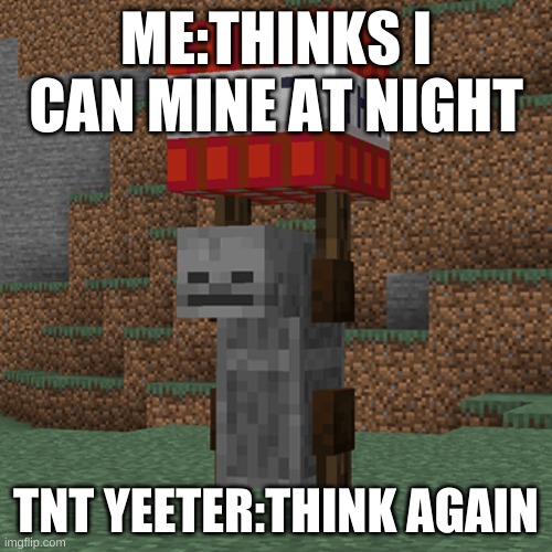 yeet | ME:THINKS I CAN MINE AT NIGHT; TNT YEETER:THINK AGAIN | image tagged in tnt yeeter | made w/ Imgflip meme maker