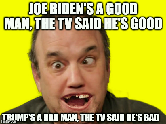 Democrats are morons | JOE BIDEN'S A GOOD MAN, THE TV SAID HE'S GOOD; TRUMP'S A BAD MAN, THE TV SAID HE'S BAD | image tagged in moron,democrats,joe biden,donald trump | made w/ Imgflip meme maker