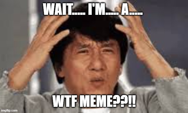 wtf | WAIT..... I'M..... A..... WTF MEME??!! | image tagged in jackie chan wtf | made w/ Imgflip meme maker