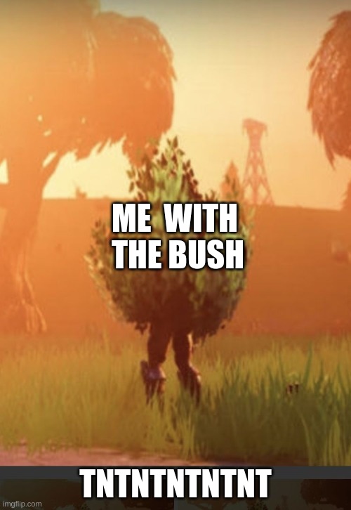 Fortnite bush | ME  WITH  THE BUSH; TNTNTNTNTNT | image tagged in fortnite bush | made w/ Imgflip meme maker