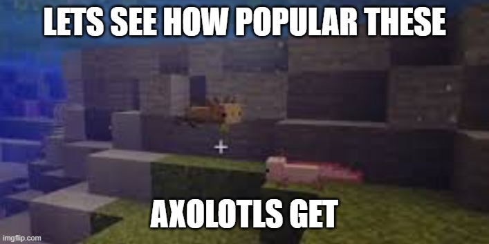 sorry just had too | LETS SEE HOW POPULAR THESE; AXOLOTLS GET | image tagged in cave update 2021,lets see how popular | made w/ Imgflip meme maker
