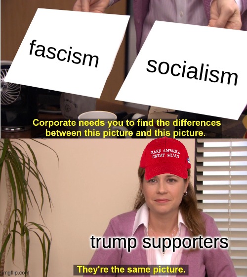 They're The Same Picture Meme | fascism socialism trump supporters | image tagged in memes,they're the same picture | made w/ Imgflip meme maker