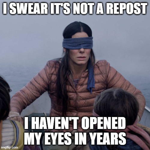 The Only Sure-Fire Way to Prove You are Not a Reposter! | I SWEAR IT'S NOT A REPOST; I HAVEN'T OPENED MY EYES IN YEARS | image tagged in memes,bird box,closed,open your eyes,eyes,reposts | made w/ Imgflip meme maker