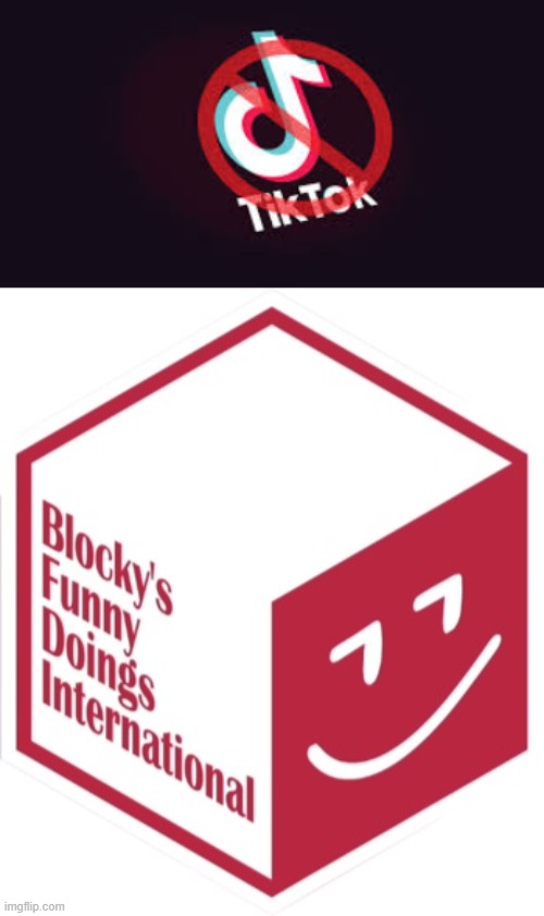 crap tiktok | image tagged in new blocky's funny doings international | made w/ Imgflip meme maker