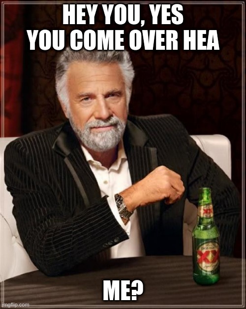 The Most Interesting Man In The World Meme | HEY YOU, YES YOU COME OVER HEA; ME? | image tagged in memes,the most interesting man in the world | made w/ Imgflip meme maker