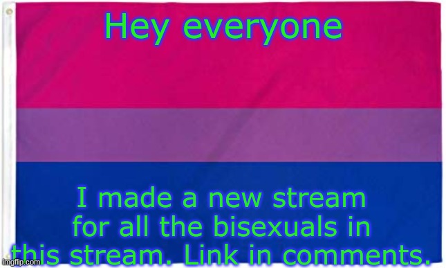 New stream everyone! | Hey everyone; I made a new stream for all the bisexuals in this stream. Link in comments. | image tagged in bisexual flag | made w/ Imgflip meme maker