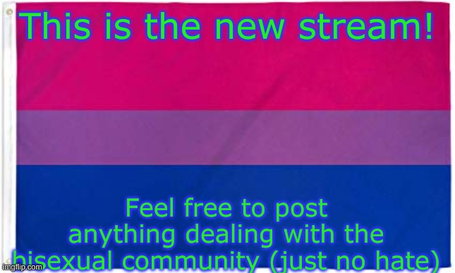 Start posting! | This is the new stream! Feel free to post anything dealing with the bisexual community (just no hate) | image tagged in bisexual flag | made w/ Imgflip meme maker