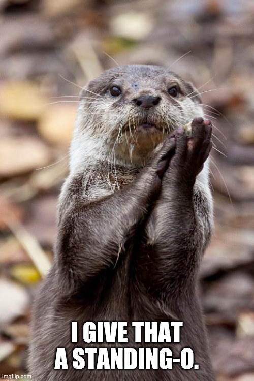 Slow-Clap Otter | I GIVE THAT A STANDING-O. | image tagged in slow-clap otter | made w/ Imgflip meme maker