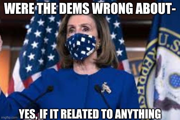 dems be wrong | WERE THE DEMS WRONG ABOUT-; YES, IF IT RELATED TO ANYTHING | image tagged in democrats,nancy pelosi,face mask | made w/ Imgflip meme maker