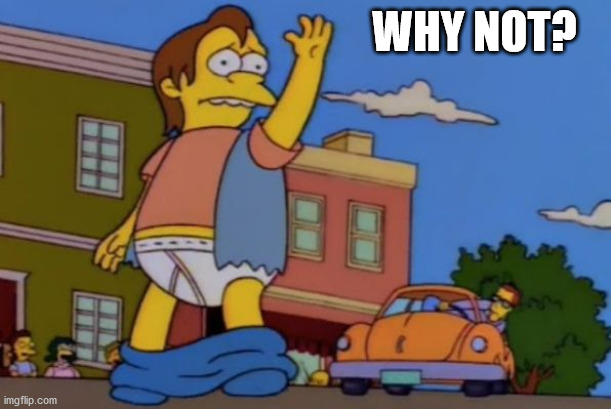 nelson muntz pants down | WHY NOT? | image tagged in nelson muntz pants down | made w/ Imgflip meme maker