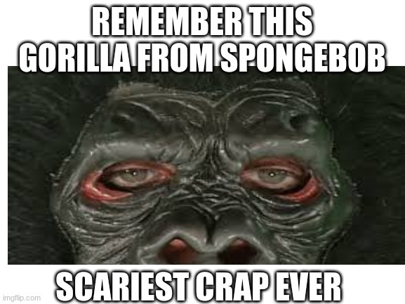 "gorilla scarde the crap out of me | REMEMBER THIS GORILLA FROM SPONGEBOB; SCARIEST CRAP EVER | image tagged in gorilla,spongebob | made w/ Imgflip meme maker